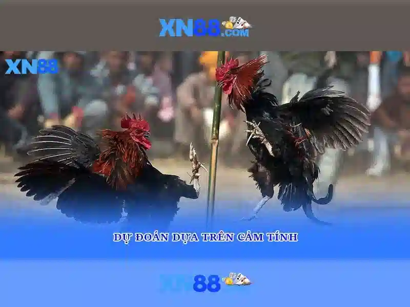 Kết luận