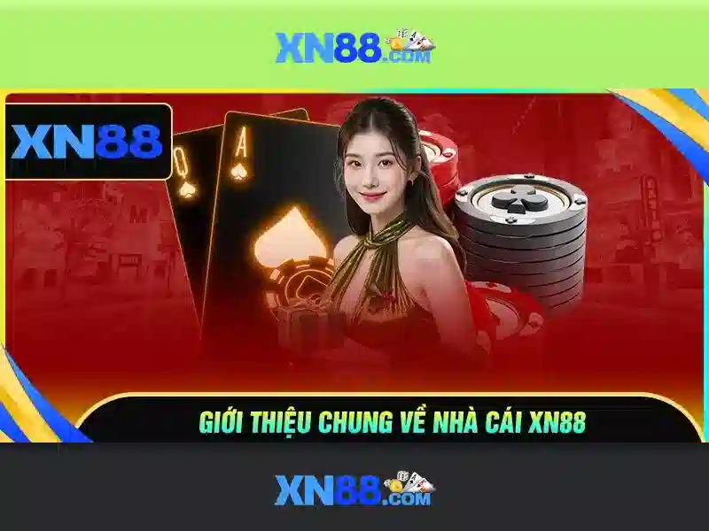 Nền tảng và chức năng