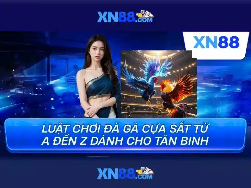 Giới thiệu xn88