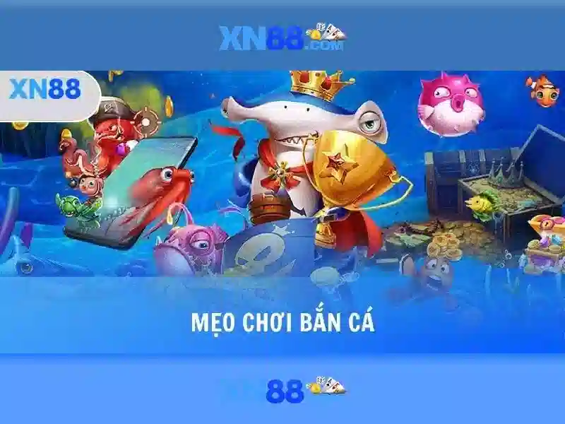 Giới thiệu về Xn88