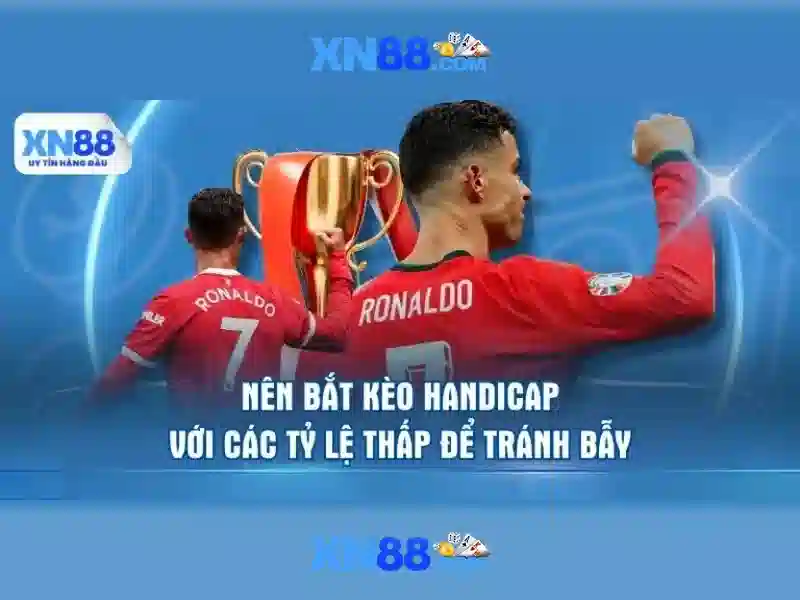 Các trò chơi và trải nghiệm