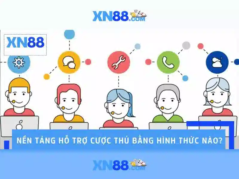 Trải nghiệm người dùng và phản hồi cộng đồng