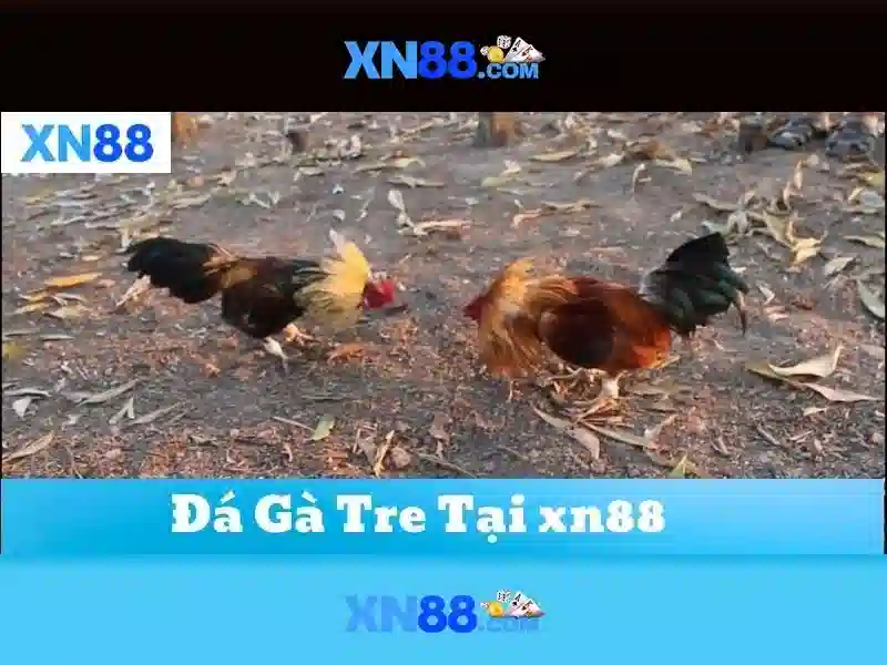 Đổi mới với xn88 vip và xn88 lucky