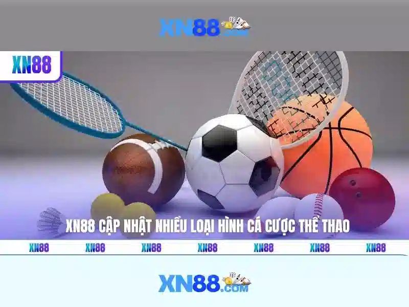 Tương tác người dùng và cộng đồng