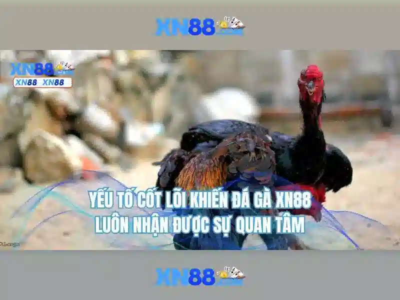 Giới thiệu về xn88