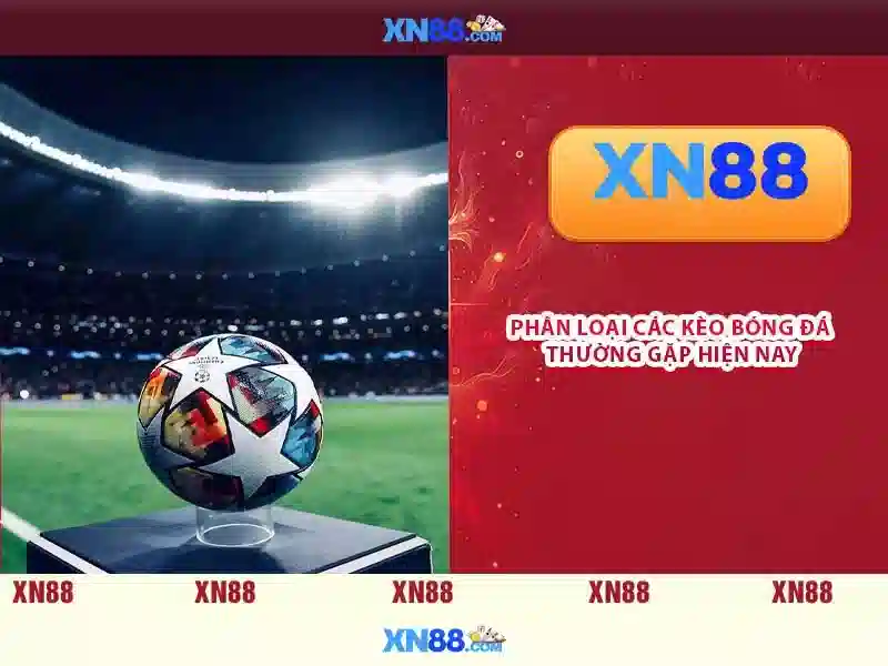 Các dịch vụ chính của xn88