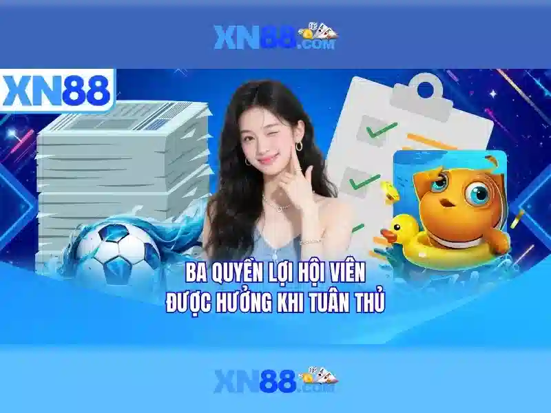 Giao diện và bảo mật