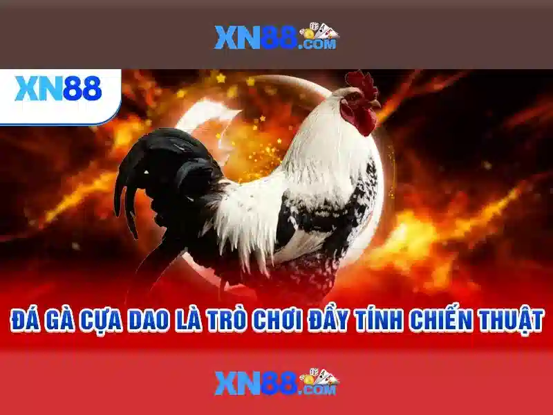 Mẹo chơi bắn cá 3 cây dễ ăn tiền nhà cái