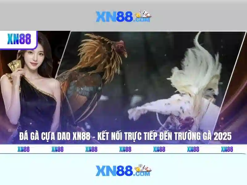 Giới thiệu về xn88