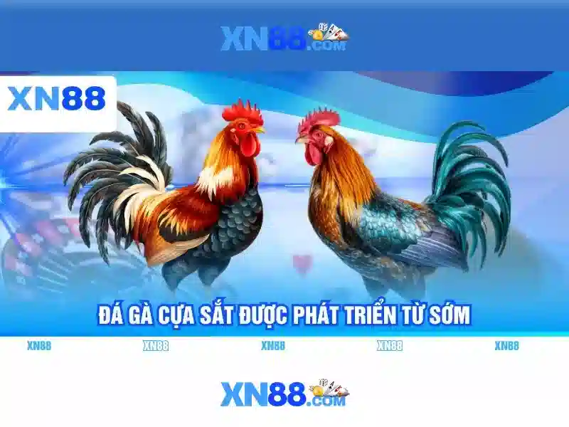 Nền tảng và trò chơi