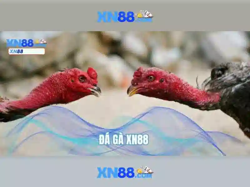 Các tính năng nổi bật và dịch vụ