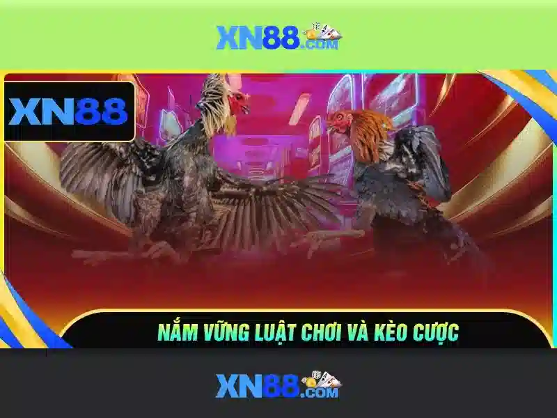 Mẹo chơi bắn cá 3 cây dễ ăn tiền nhà cái