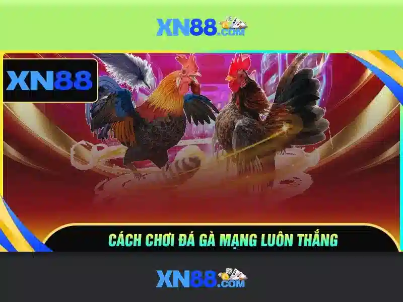An toàn và quyền lợi người dùng xn88