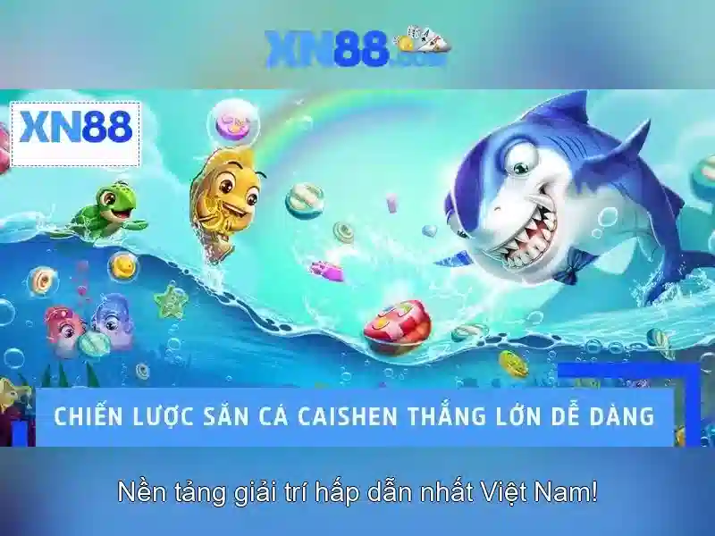 Đánh giá và lời khuyên cho người mới