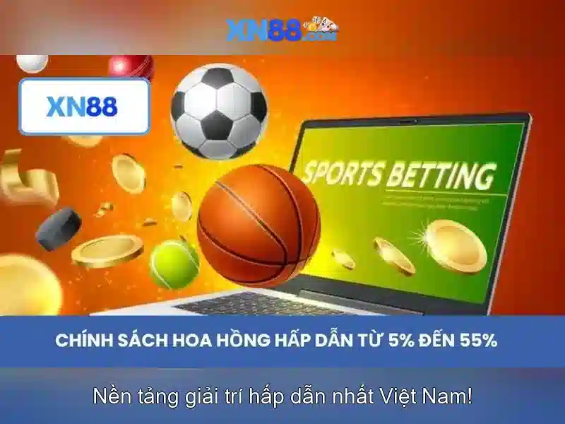 Kết luận và liên hệ