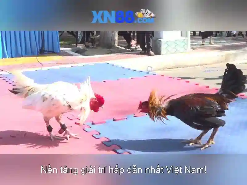 Nguồn gốc và mục đích