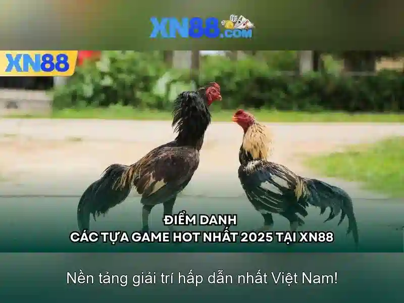 Khuyến mãi và cộng đồng<h>Hỗ trợ người dùng và kết luận</h><p><span style=
