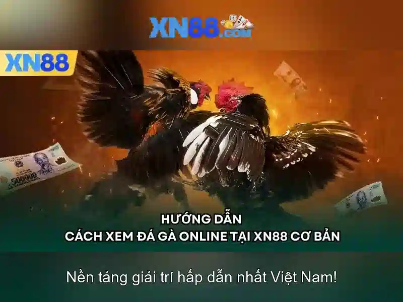 Các tính năng nổi bật<h>Ứng dụng và mức độ phổ biến</h><p><span style=