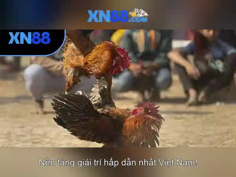 Làm thế nào để tham gia