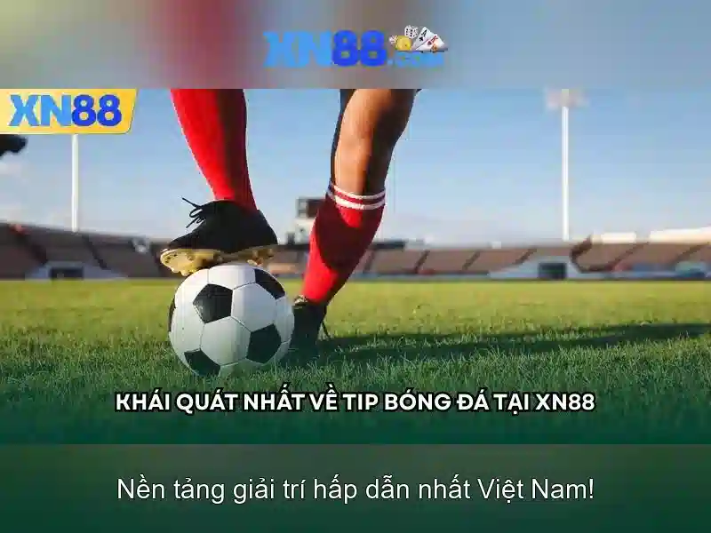 Các dịch vụ nổi bật