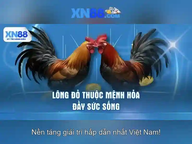 An toàn và pháp lý\n<h3>Hướng dẫn đăng ký và tham gia</h3>\n<p><span style=