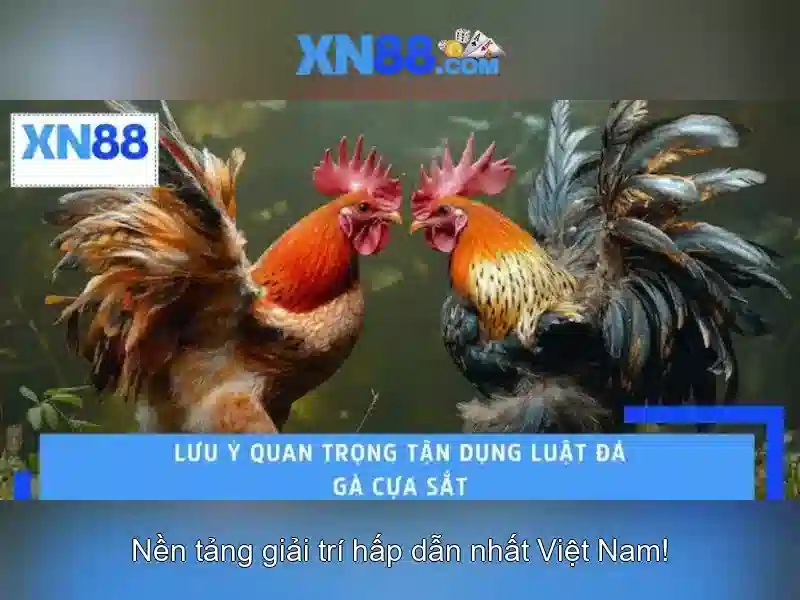 Mẹo chơi bắn cá 3 cây dễ ăn tiền nhà cái