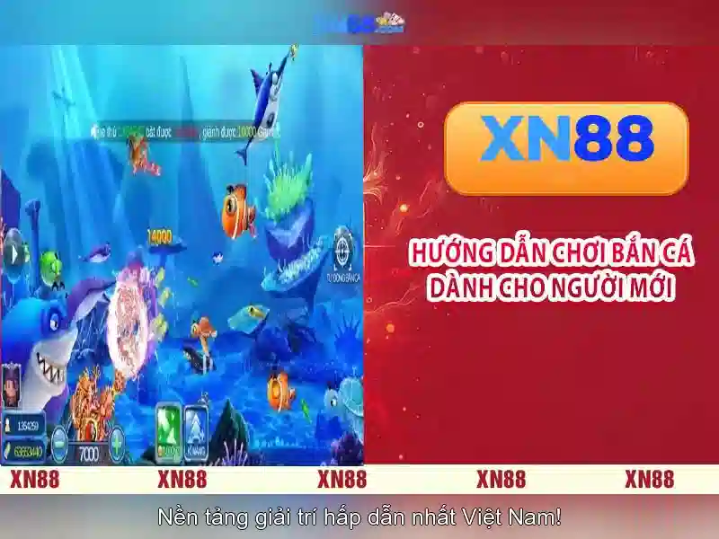 Hướng tới cộng đồng và tương lai