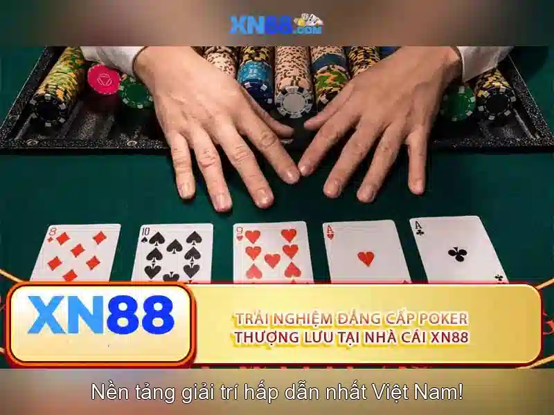 Công nghệ và giải pháp