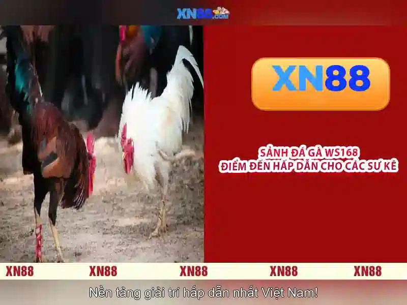xn88: Nền tảng chơi trực tuyến phổ biến