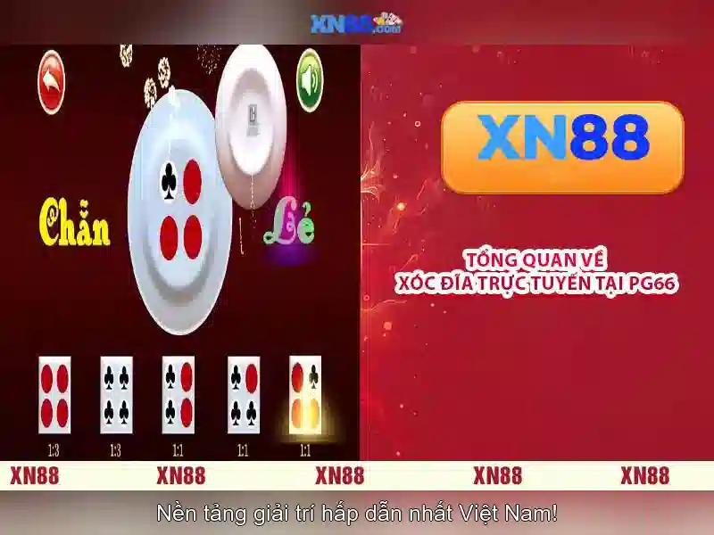 Chính sách bảo mật và an toàn