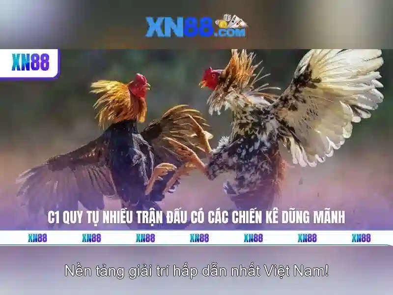 Lịch sử và phát triển của xn88