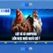 xn88 - Tổng quan và đánh giá nền tảng cá cược trực tuyến