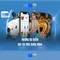 xn88 và thế giới cược trực tuyến