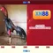 xn88 là gì: Tổng quan về nền tảng giải trí trực tuyến