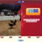xn88: Tổng quan về nền tảng cá cược và trò chơi trực tuyến