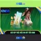 XN88: Tổng quan về nền tảng cá cược và trò chơi trực tuyến