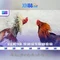 xn88: Tổng quan về nền tảng chơi game và cược trực tuyến