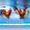 XN88: Tổng quan và đánh giá nền tảng giải trí trực tuyến
