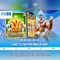 xn88 và thế giới cược trực tuyến