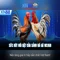 xn88 – Nền tảng cược trực tuyến và những ưu điểm