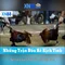 Gioi thieu xn88 tren nen tang giai tri truc tuyen