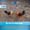 XN88: Nền tảng cá cược trực tuyến đáng tin cậy