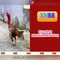 xn88: Nền tảng cá cược trực tuyến và casino online